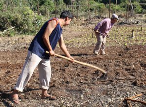 Member of the Balbuena-Roda family prepare their garden for planting(Photo: P. Blain/CEPAG)
