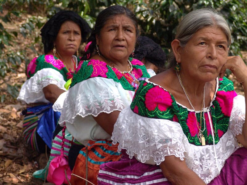 Indigenous Tseltal women in Chiapas, Mexico, participate in their community’s assembly.